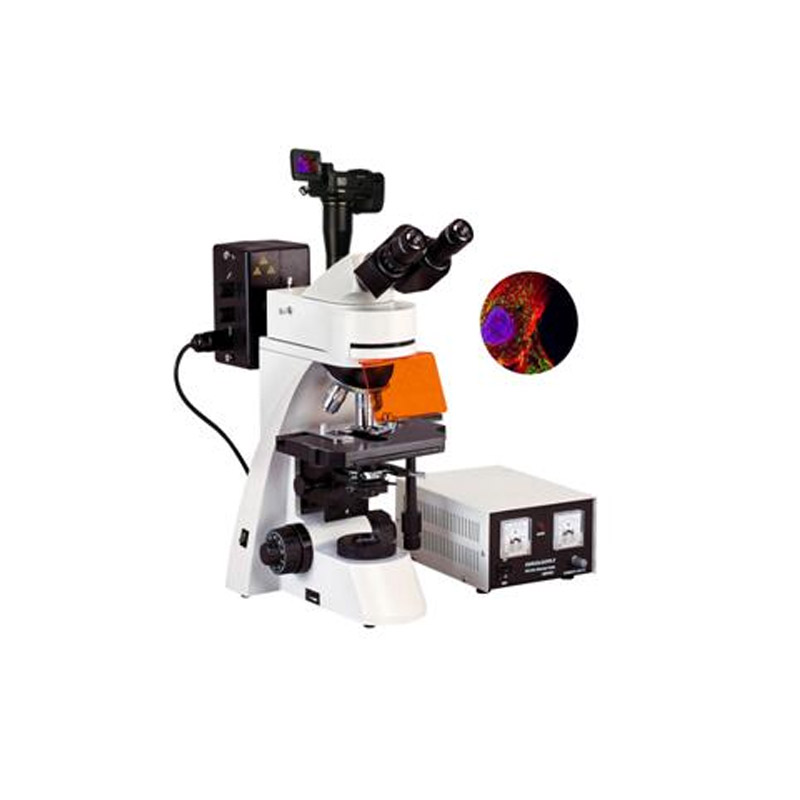 数码型荧光显微镜BFM-600系列